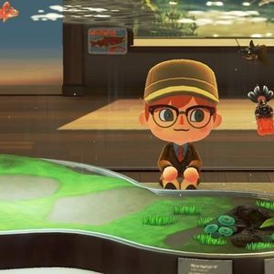 Meet your Posher, Shannon